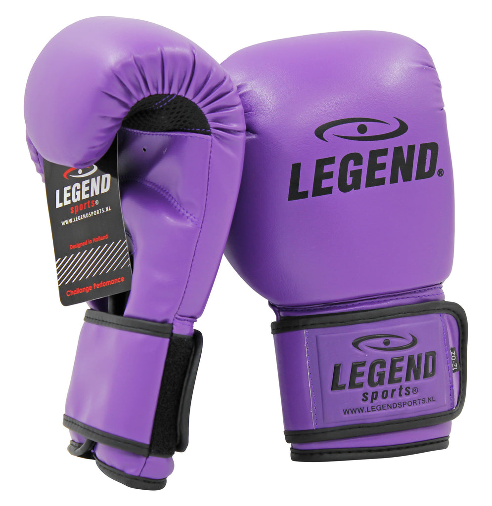 kickboxhandschoenen paars