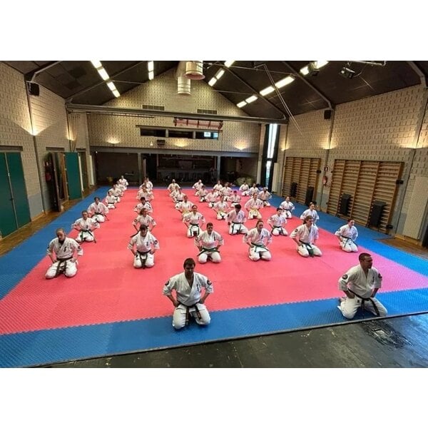 Legend Puzzle Mat Sports Floor | 100 x 100 x 2 cm | Blue / Red