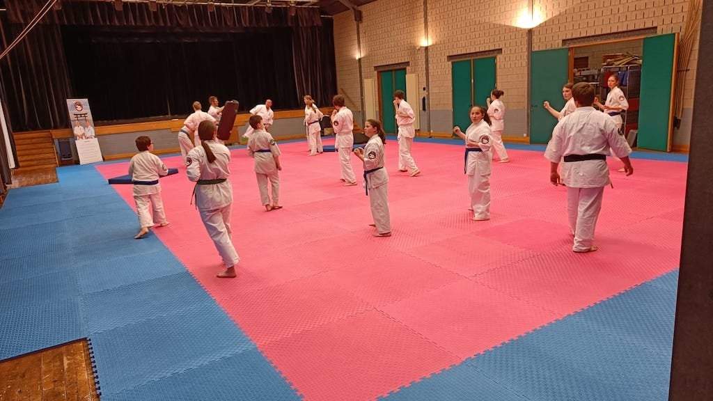 Tatami mat Karate