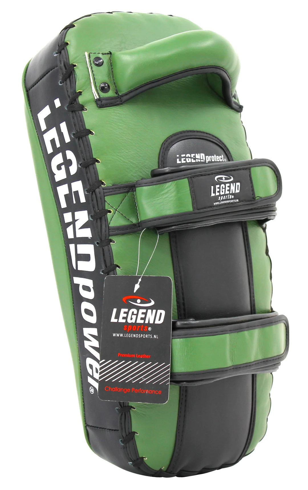 Muay Thai pads
