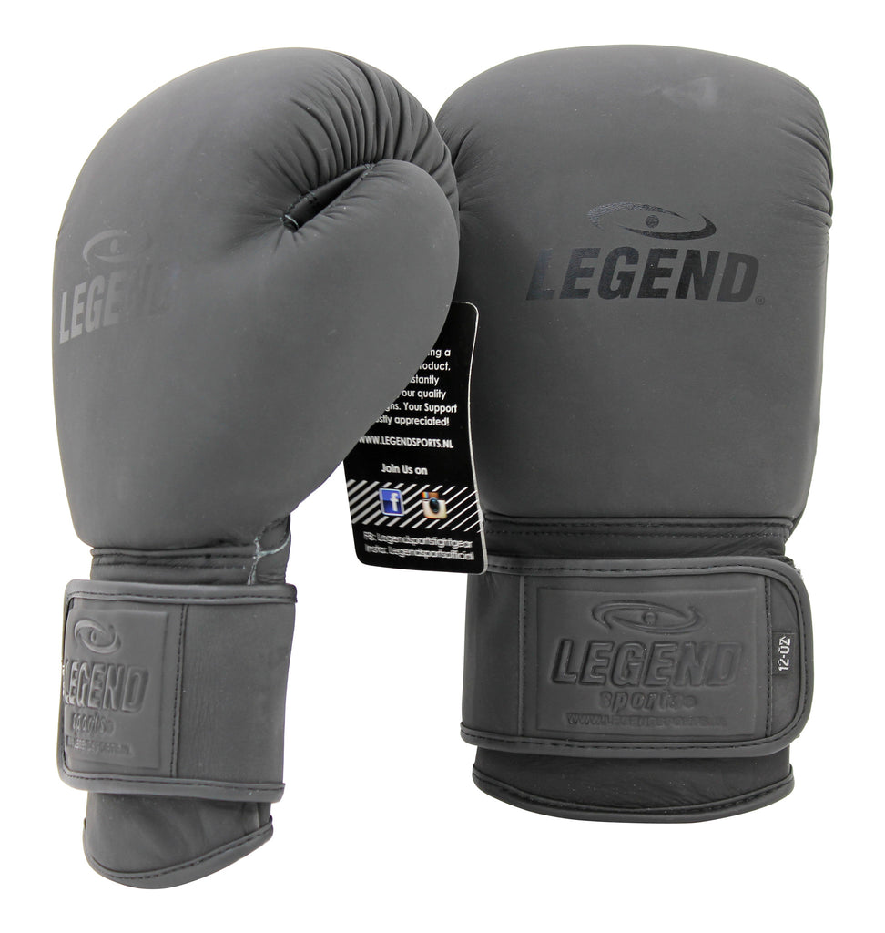 bokshandschoenen Legend Sports