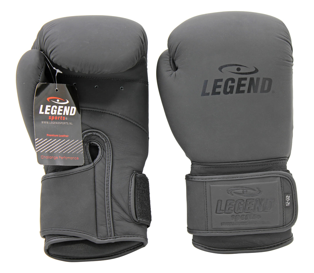 kickbokshandschoenen Legend Power