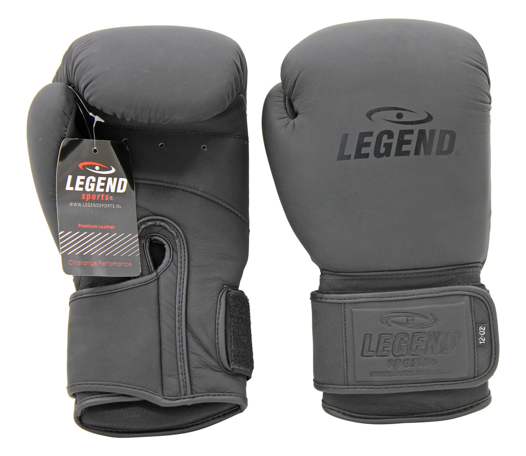 kickbokshandschoenen Legend Power
