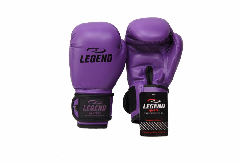 kickbokshandschoenen paars