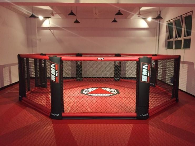 MMA OCTAGON RING